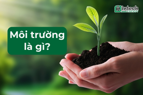 Môi trường là gì
